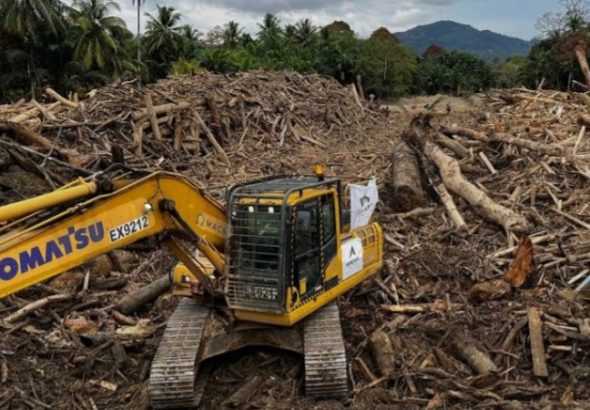 Screenshot_20260220_155943_Google