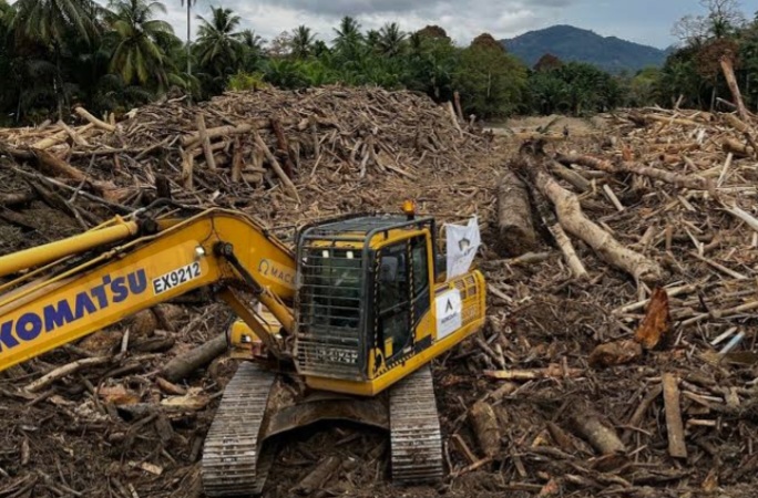 Screenshot_20260220_155943_Google